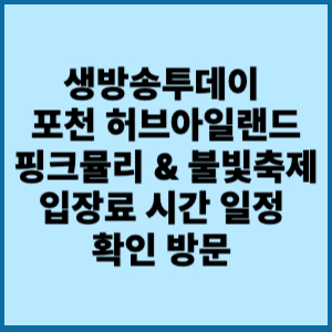 생방송투데이 포천 허브아일랜드 핑크뮬리 & 불빛축제 방문 방법 2 생방송투데이 포천 허브아일랜드