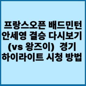 안세영 결승 프랑스 오픈 배드민턴 다시보