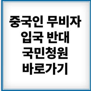 중국인 무비자 입국 반대 국민청원 불법체류자 증가 또는 경제활성화 여러분의 생각은? 1 제목을 입력해주세요 001