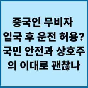 중국인 무비자 입국 후 운전 허용 국민 안전과 상호주의 이대로 괜찮나 1 중국인 무비자 입국 후 운전 허용 국민 안전과 상호주의 이대로 괜찮나