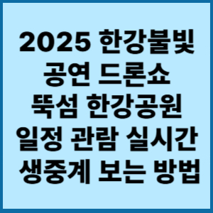 한강불빛공연, 드론라이트쇼, 뚝섬한강공원, 카카오프렌즈, 서울가을축제, 라이브서울, 서울 드론쇼, 한강 야간축제, 2025 서울 행사, 드론 공연