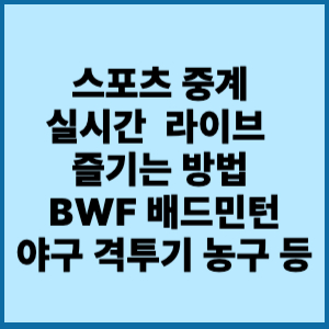스포츠 중계 실시간 보기 라이브 생생하게 즐기는 방법 BWF 배드민턴.야구 .격투기.농구 등 1 스포츠 중계 실시간 보기 라이브 생생하게 즐기는 방법