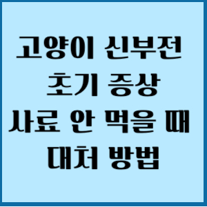 고양이 신부전 초기 증상 사료 안 먹을 때 현명한 대처 방법 2 고양이 신부전 초기 증상 사료 안먹을 때 대처 방법