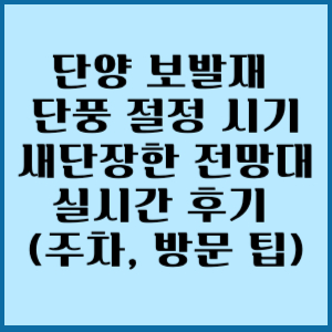 단양 보발재 단풍 절정 시기