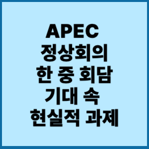 apec 정산회의 한중 회담
