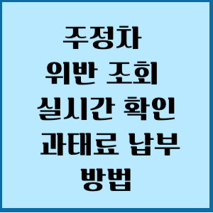 주정차 위반조회실시간 확인