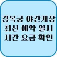 경복궁 야간 개장