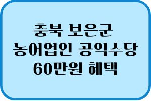 공익수당